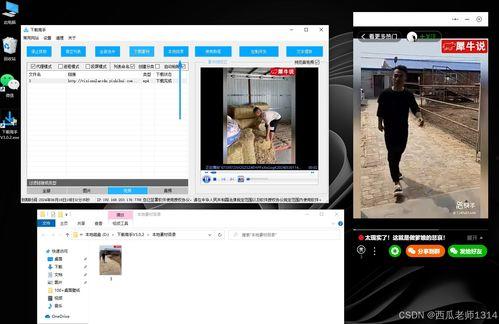 视频爆料网小程序是什么,实时热点一触即达  第3张