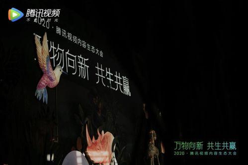 辰飞爆料中的视频,精彩瞬间一网打尽  第1张